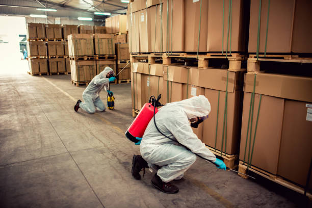 Best Flea Control Services  in Spring Grove, PA