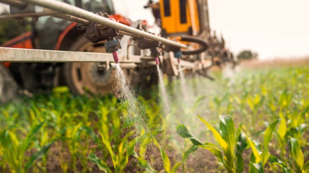 Best Mosquito Control Services  in Spring Grove, PA